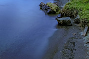 Lakeshore Photograph by Anamar Pictures