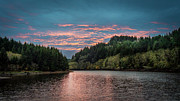 Lakeside Wandering Photograph by Bill Posner