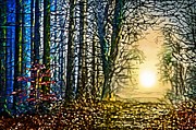 Landscape Design 276 Digital Art by Lucie Dumas