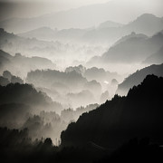 Las Gallinas Valley expanse Photograph by Donald Kinney
