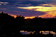 Last Light Photograph by Gina Fitzhugh Last Light Photograph by Gina Fitzhugh