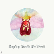 Laughing Bumble Bee Orchid, Ophrys Bombyliflora Plant Painting by Elizabeth Reich