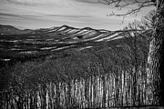 Layers of Black and White Photograph by Deb Beausoleil