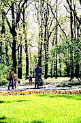 Lazienki Park In Warsaw, Poland 2 Photograph by John Siest