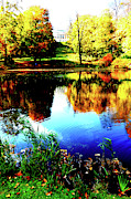 Lazienki Park In Warsaw, Poland 5 Photograph by John Siest