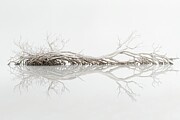 Leafless Tree Serenity Painting by Lourry Legarde Leafless Tree Serenity Painting by Lourry Legarde