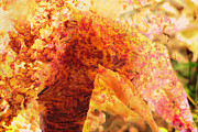 Leafy Abstract Photograph by Bentley Davis Leafy Abstract Photograph by Bentley Davis