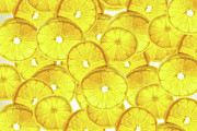 Lemon Slices Photograph by Sharon Popek