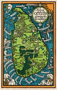 Leslie MacDonald Gill - CTPB - Map of Ceylon showing her Tea Industry - 1933 Digital Art by Vintage Map Leslie MacDonald Gill - CTPB - Map of Ceylon showing her Tea Industry - 1933 Digital Art by Vintage Map