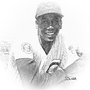 Mister Cub Drawing by Steve MItchell Mister Cub Drawing by Steve MItchell