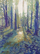 Light in the Forest  Painting by Jenny Armitage