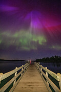 Light Show at the Pier Photograph by Amfmgirl Photography