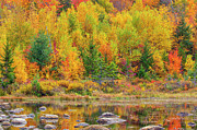 Lily Pond in the New Hampshire White Mountains Photograph by Juergen Roth Lily Pond in the New Hampshire White Mountains Photograph by Juergen Roth