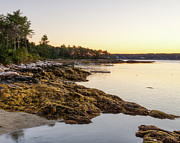 Linekin Bay Coastline at Dawn Photograph by Donna Twiford