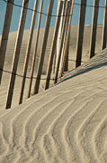 Lines in the Sand Photograph by Melissa Southern