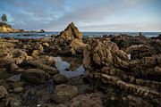 Rocky Tide Pools and Arch Rock Reflections Photograph by Abigail Diane Photography