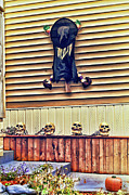 Little Halloween witch stuck on a wall Photograph by Tatiana Travelways