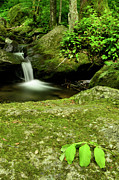 Little Waterfall Photograph by Melissa Southern