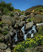 Living Water Photograph by Tim Lyden