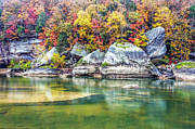 The Beauty Of Nature Photograph by Ed Newell