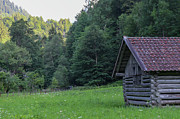 Log Cabin in the Forest Photograph by Brigitte Blanchette Thompson Log Cabin in the Forest Photograph by Brigitte Blanchette Thompson