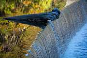 Log Jam Photograph by Linda Bonaccorsi Log Jam Photograph by Linda Bonaccorsi