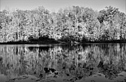 Lone Firsherman Photograph by Addison Likins Lone Firsherman Photograph by Addison Likins