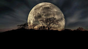 Lonesome Moon Photograph by Pete Federico