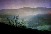 Lonesome Point Digital Art by Nicole Wilde