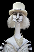 Long Neck Photograph by Elvira Peretsman