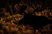 Look to the Rising Sun Photograph by Gary Kochel