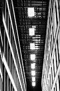 Look upstairs Photograph by Eva-Maria Di Bella
