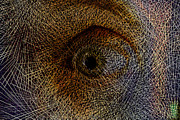 Looking through the Web Mixed Media by Bentley Davis Looking through the Web Mixed Media by Bentley Davis