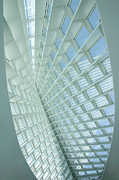 Looking Up Photograph by Patty Colabuono
