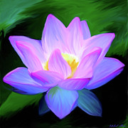 Lotus Blossom Digital Art by Michael Chacon Lotus Blossom Digital Art by Michael Chacon