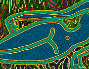 Lounging in the Grass Digital Art by Vallee Johnson