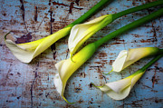 Lovely Calla Lillies On Rustic Table Photograph by Garry Gay