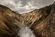 Lower Falls, Yellowstone National Park Photograph by The Yellowstone Collection