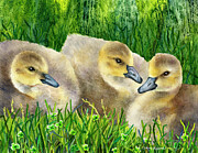 Lucky Goslings Painting by Anne Gifford