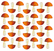 Lucky Mushrooms Pattern Photograph by Iris Richardson