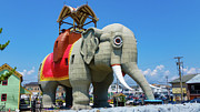 Lucy The Elephant Photograph by Anthony Sacco