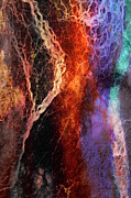 Luminescence Digital Art by Linda Lee Hall Luminescence Digital Art by Linda Lee Hall
