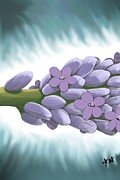 Luminous Lavender Light Digital Art by Angrulla MF Luminous Lavender Light Digital Art by Angrulla MF