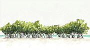 Lush Green Mangrove Trees Painting by Lourry Legarde Lush Green Mangrove Trees Painting by Lourry Legarde
