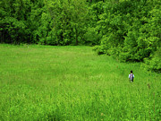 MA AT Hiker Spring Green Photograph by Raymond Salani III MA AT Hiker Spring Green Photograph by Raymond Salani III