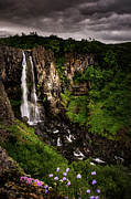 Magic Island Photograph by Neil Shapiro