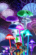 Magic Mushrooms Digital Art by Lisa Yount