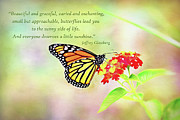 Magical Monarch Butterfly Inspirational Card and Art Photograph by Anita Pollak