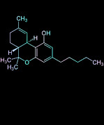 Magical THC Molecule Cannabis Digital Art by Flippin Sweet Gear