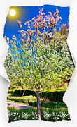 Magical Tree Photograph by Cherry Vercher